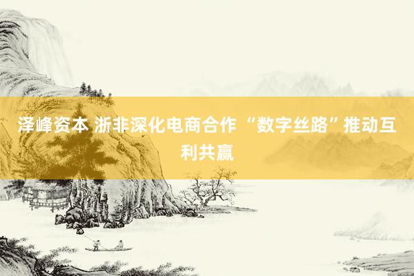 泽峰资本 浙非深化电商合作 “数字丝路”推动互利共赢