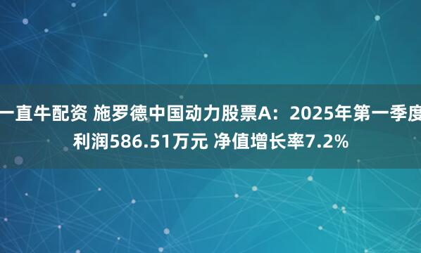 一直牛配资 施罗德中国动力股票A：2025年第一季度利润586.51万元 净值增长率7.2%