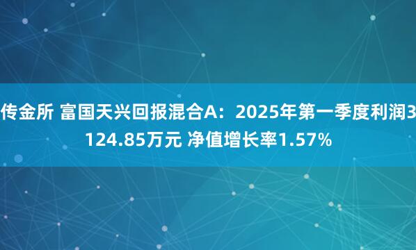传金所 富国天兴回报混合A：2025年第一季度利润3124.85万元 净值增长率1.57%