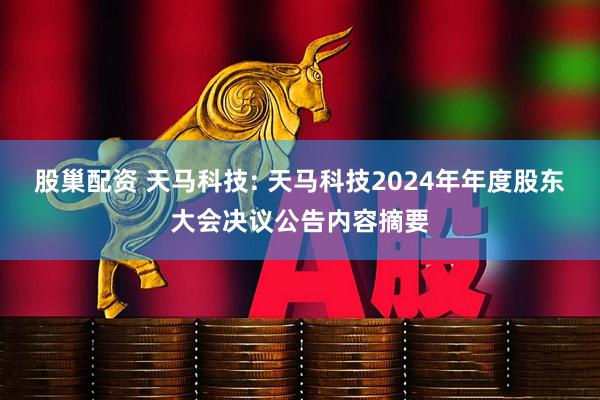 股巢配资 天马科技: 天马科技2024年年度股东大会决议公告内容摘要