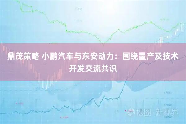 鼎茂策略 小鹏汽车与东安动力：围绕量产及技术开发交流共识