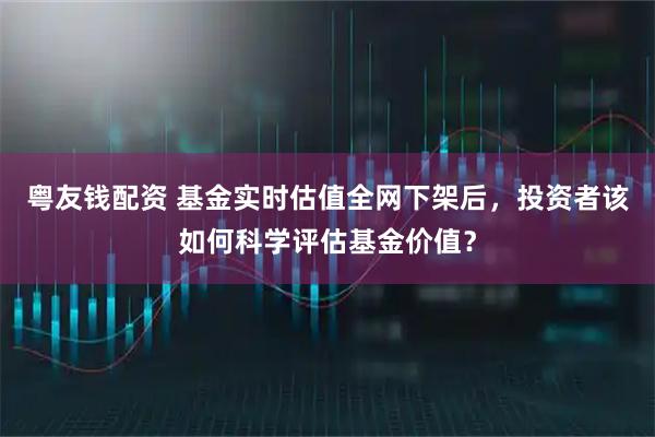 粤友钱配资 基金实时估值全网下架后，投资者该如何科学评估基金价值？